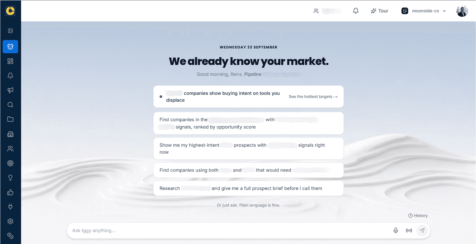 The Ask Iggy panel in MarketSizer, offering suggested questions above a plain-language input box